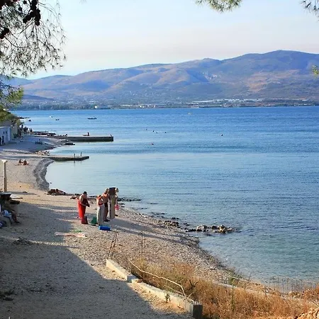 Katja Trogir